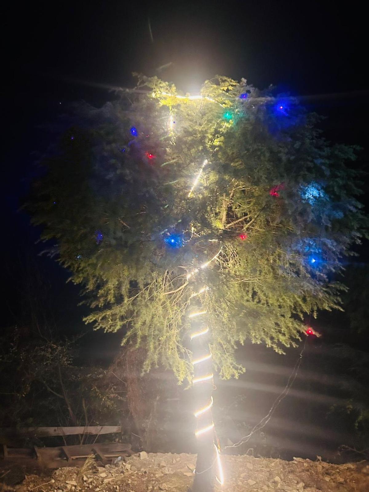 Tree Hub Jibhi Apartment Exterior photo